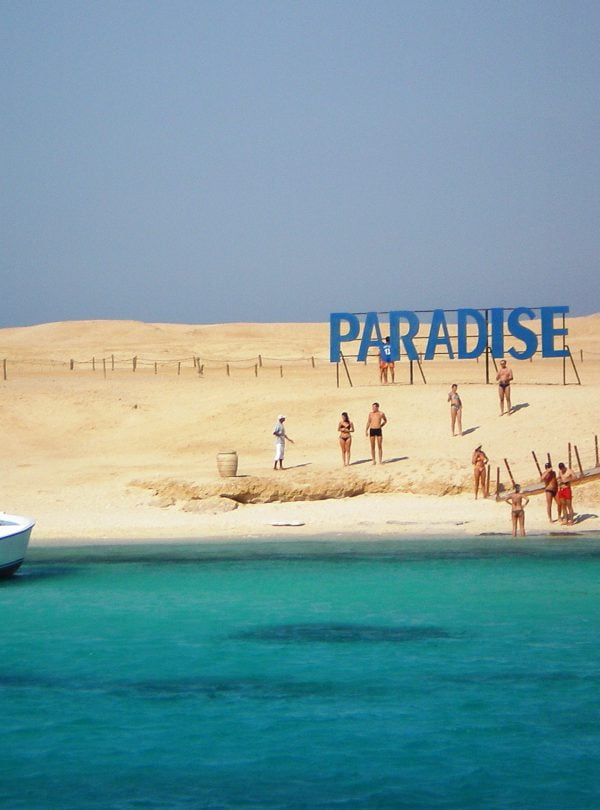 Paradise Island 8