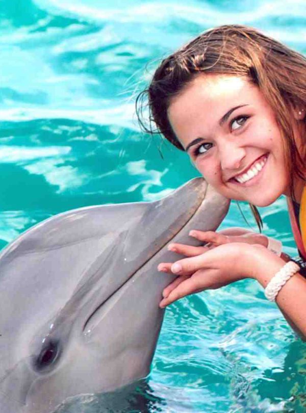 Spectacle de dauphins 8