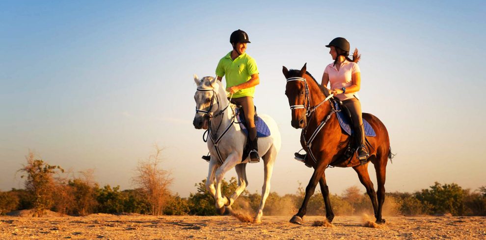 Cheval 2