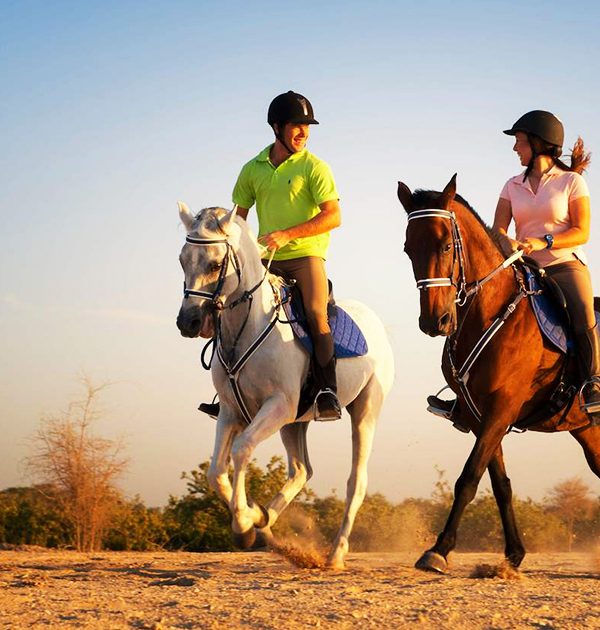 Cheval 2