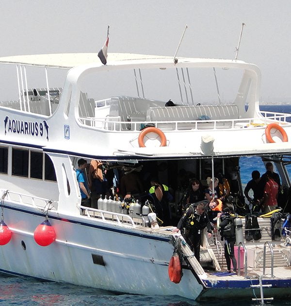 Dauphin mer 4
