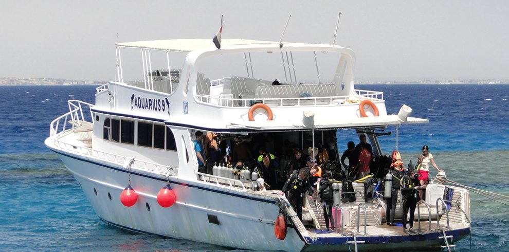 Dauphin mer 4
