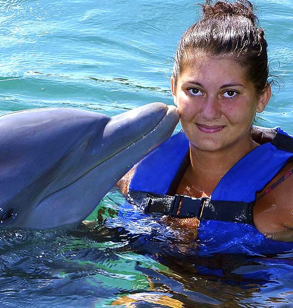 Photos avce dauphins 2