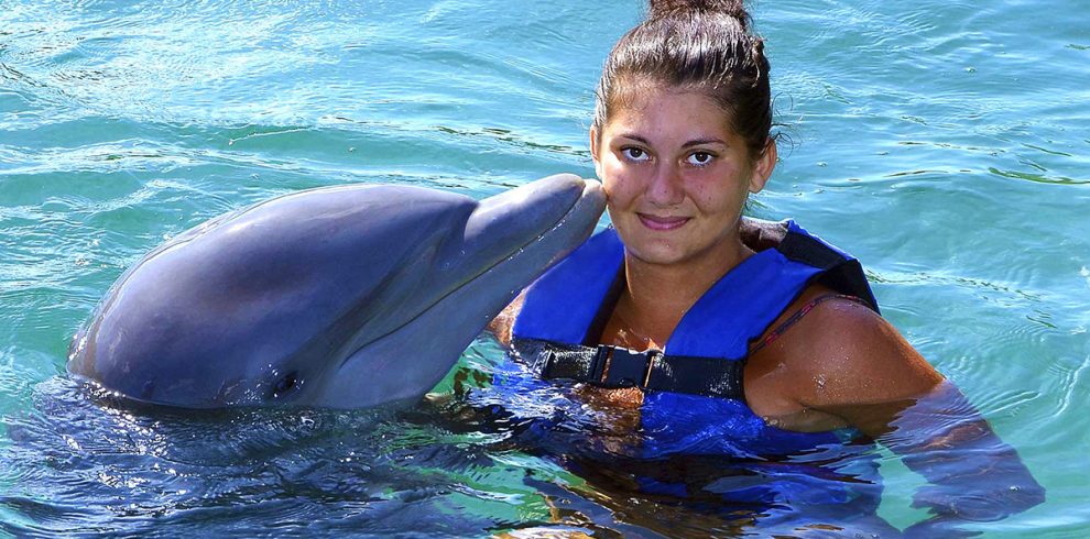 Photos avce dauphins 2